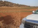 تويوتا ‏سيكويا ‏Limited ‏2010