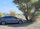 Hyundai ‏Ioniq ‏Standard ‏2019