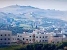 Amman ‏Shafa Badran