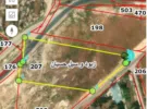 Amman ‏Naour