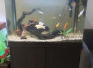 1.2meter size fish tank