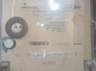 Alexandria ‏Agami