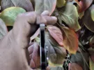 أبل ‏ايفون 14 برو ماكس ‏256 جيجابايت ‏بنفسجي