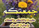 هونور ‏X9a هونور ‏256 جيجابايت ‏فضي