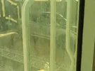 MG ‏MG 3 ‏2023