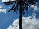 سامسونج ‏اخرى ‏128 جيجابايت ‏أسود