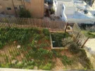 Amman ‏Naour