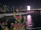 أبل ‏ايفون 14 برو ماكس ‏256 جيجابايت ‏بنفسجي