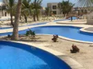 Dhofar Taqah