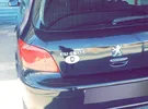 Peugeot 307 Standard 2004