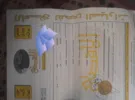 نيسان ‏اخرى ‏1999
