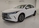 BYD Other 2025