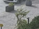 دودج ‏دورانجو ‏R/T ‏2021