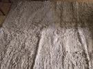 Wool carpet for sale, 5 bd