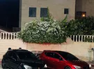 سيات ‏ليون ‏Sport Stourer ‏2020