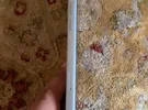 Apple ‏iPhone 15 Plus ‏128 GB ‏White