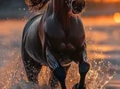 تكنو ‏بوفا ‏64 جيجابايت ‏فضي