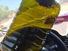 سامسونج ‏جالاسكي S23 بلس ‏256 جيجابايت ‏أزرق