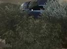 جاي ام اي في ‏EV3 ‏2022
