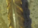 سامسونج ‏جالاكسي J6 بلس ‏128 جيجابايت ‏أسود