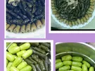 تكنو ‏بوفا ‏16 جيجابايت ‏رمادي