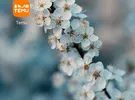 إنفينيكس ‏سمارت 7 ‏2 تيرابايت ‏أزرق