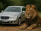 Mercedes Benz ‏E-Class ‏E 280 ‏2009