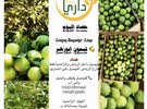 ليمون ابو زهير Lemon Benzehir - Lime