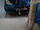 Toyota ‏Prius ‏Prius C ‏2014