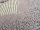 هواوي ‏P10 ‏128 جيجابايت ‏رمادي