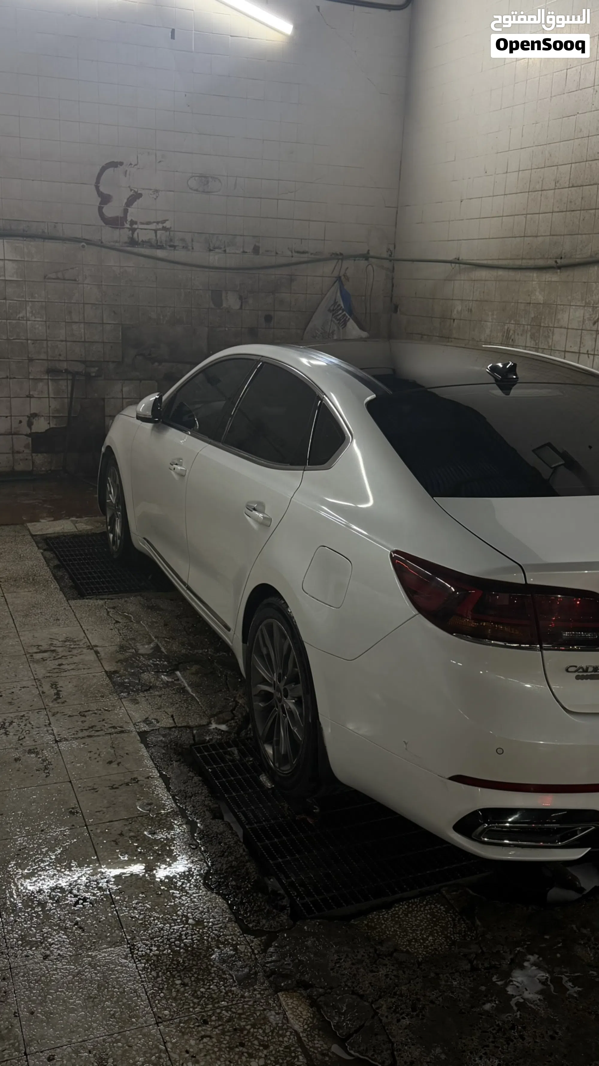 كادنزا كامل المواصفات