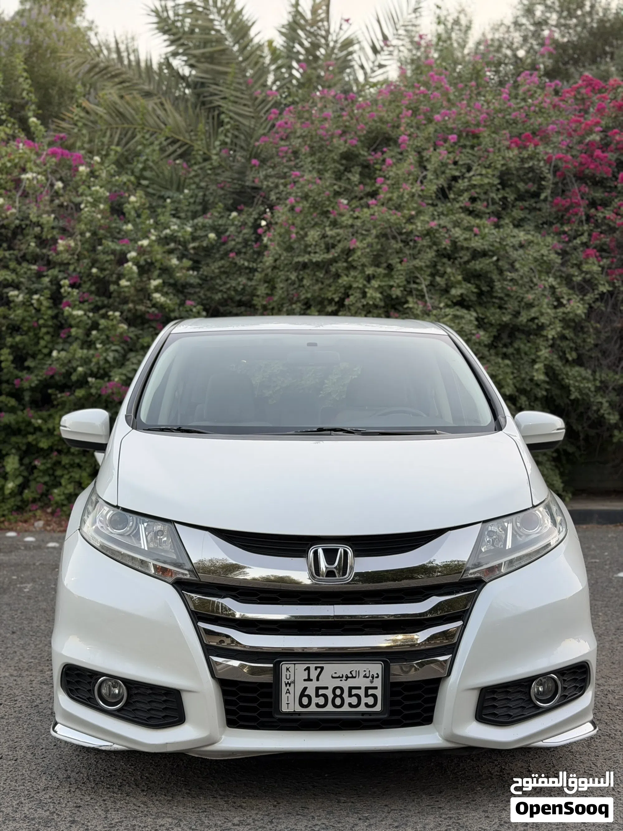 2019 هوندا Odyssey