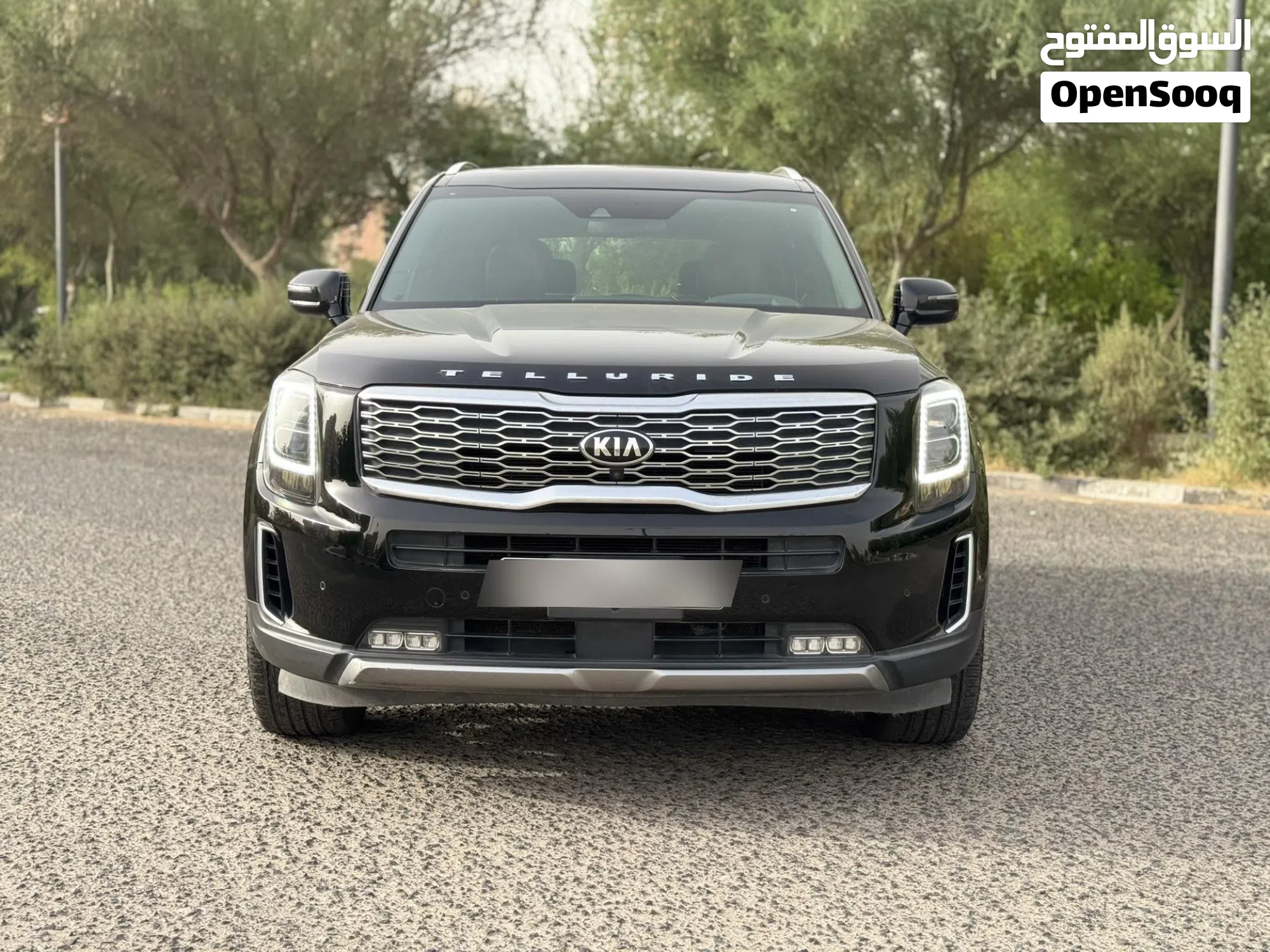 2021 كيا تيلورايد EX X-Line SUV واسعة - image 1