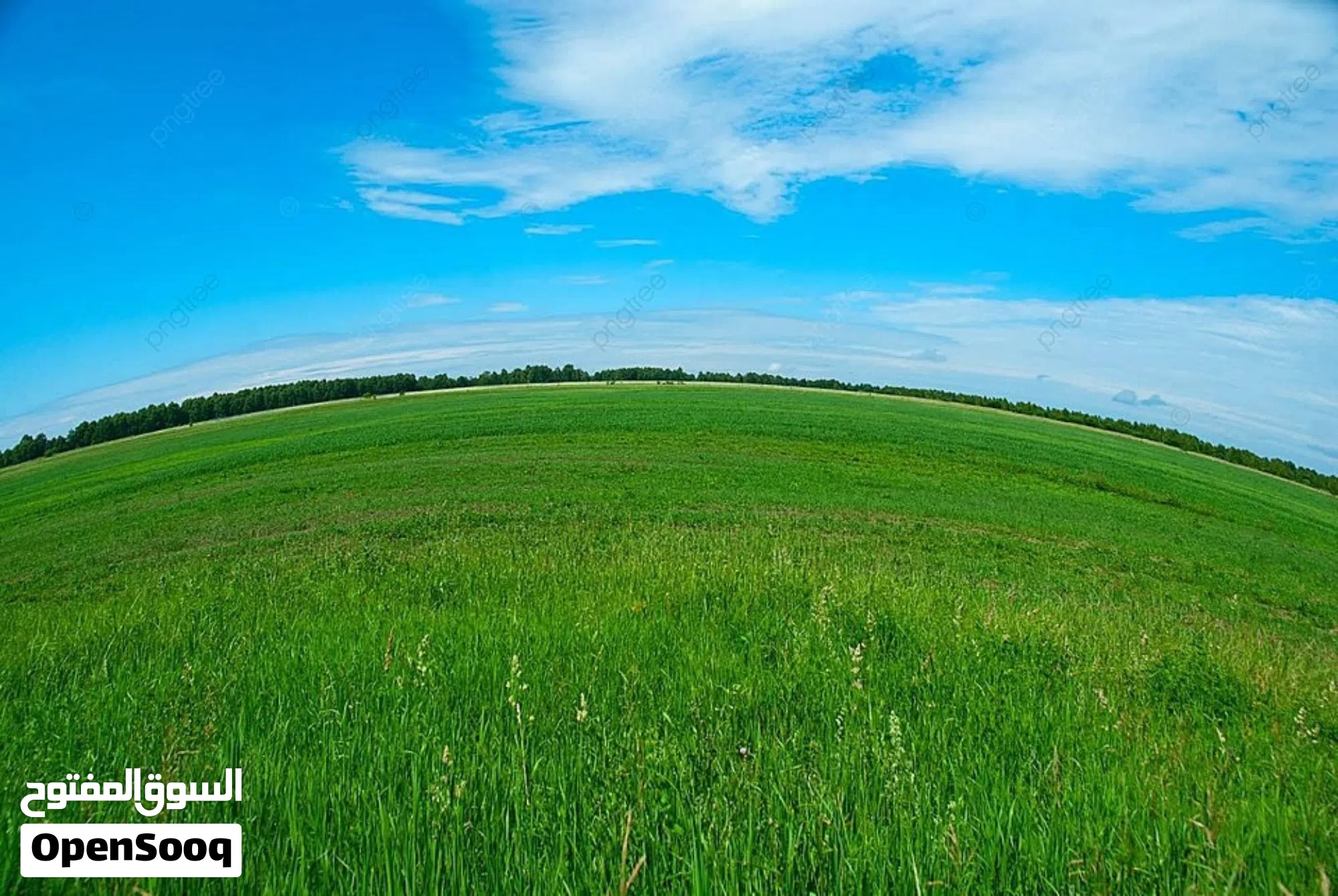 للبيع ارض فضاء في الفنيطيس