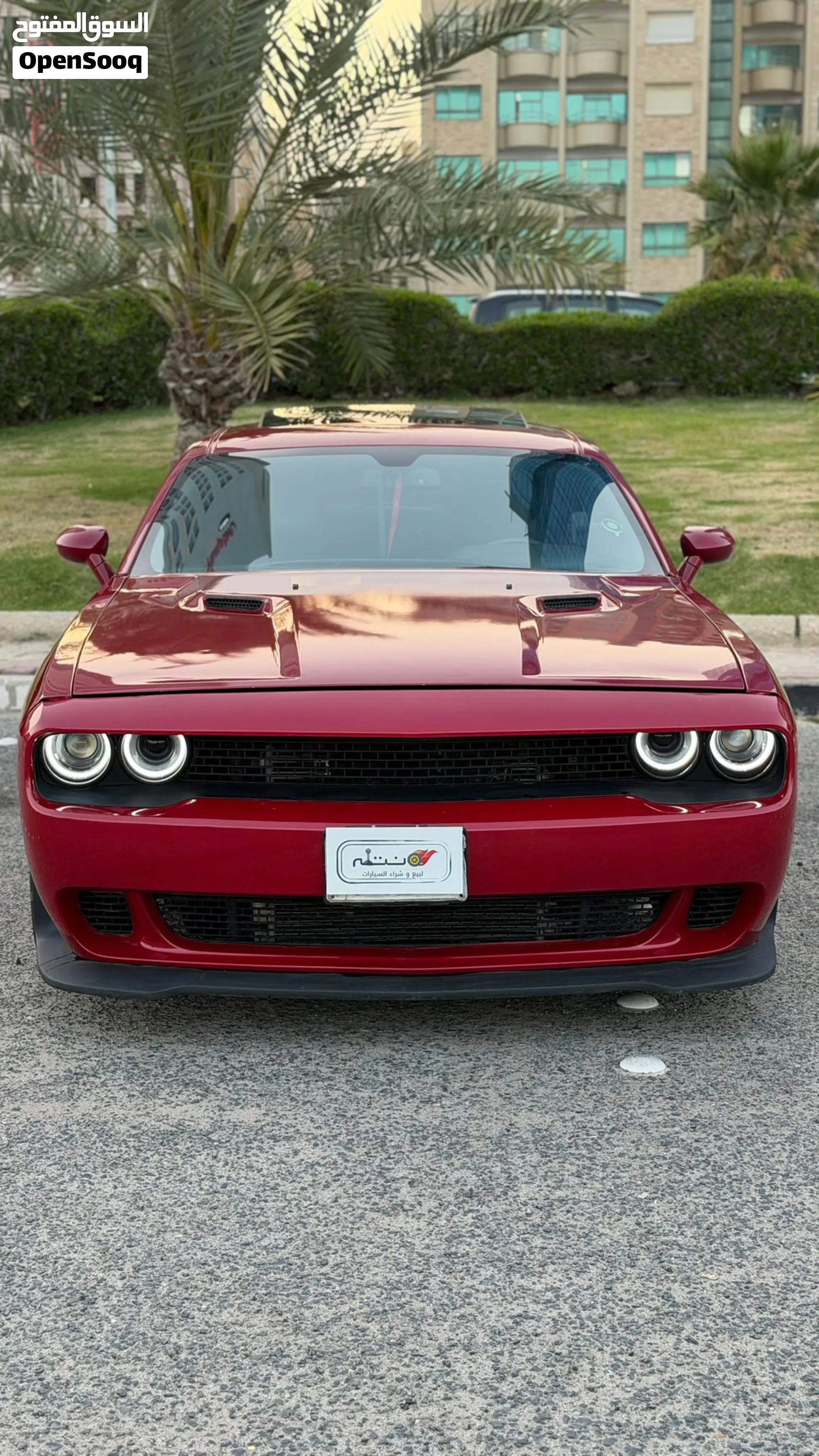دودج تشالنجر Srt8 موديل 2013 بحالة ممتازة - image 1
