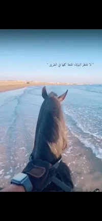sultan
