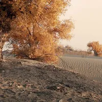 مازدا ‏6 ‏Standard ‏2014