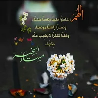 Ducati ‏Other ‏2009 ‏600 - 749 cc