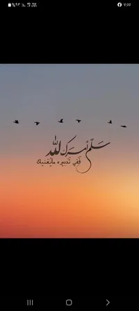 احمد محمد احمد  مجلي 