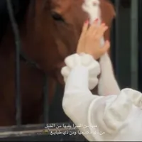 baraa Mohamed