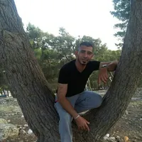 محمود المحسيري