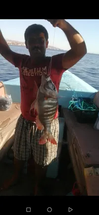 علاء الخوجا