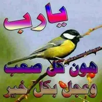 دايو ‏ماتيز ‏2009