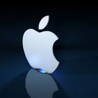 علي شاشيه