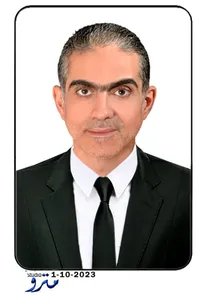 Ahmed  Abouzeid 