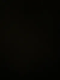 f5a15379-2025-434d-838a-bc146fb40ad6