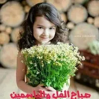mm العلاوي
