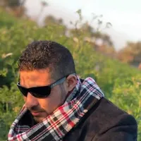 محمود ابو الفتح  عبد الحميد 