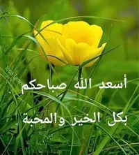Abo-Adam Sukar