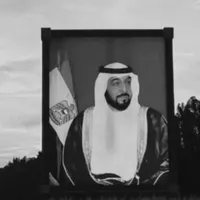 zayed dd